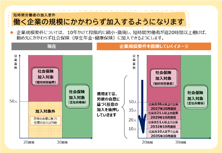 厚生労働省が示す企業規模要件の段階的な撤廃イメージ。従業員36人以上は2027年10月、21人以上は2029年10月、11人以上は2032年10月、10人以下は2035年10月に適用され、最終的に企業規模にかかわらず社会保険に加入するようになる